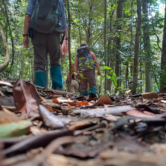 Nature Walks in Sinharaja