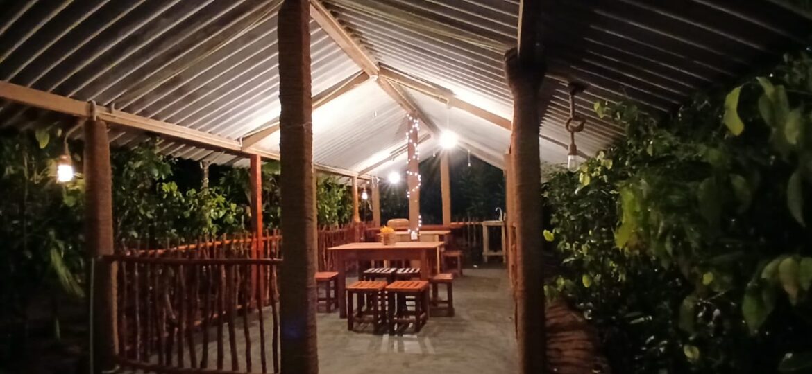 Rainforest Vibe - Restaurant
