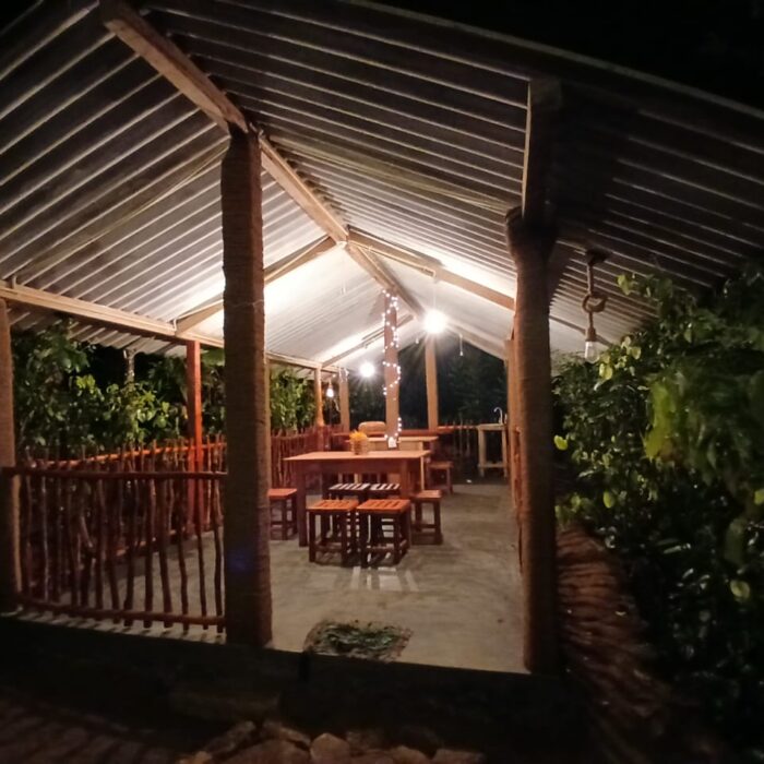 Rainforest Vibe - Restaurant
