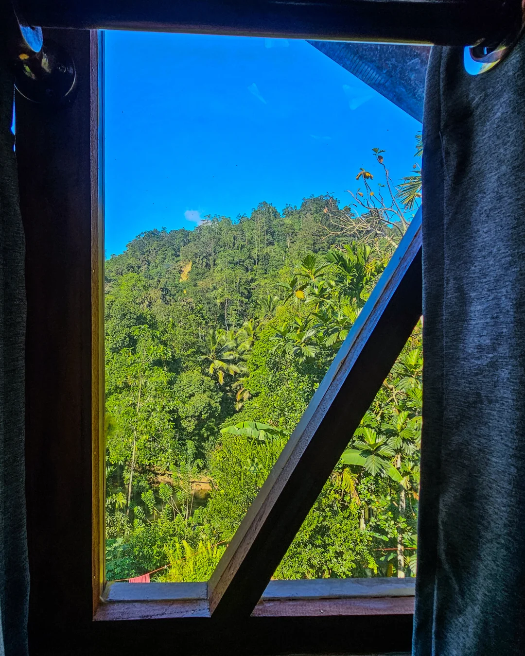 View of Sinharaja from Rainforest Vibe Villa